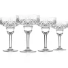 Martini & Coupes|Acrylic|Godinger Dublin Acrylic Margarita, Set of 4